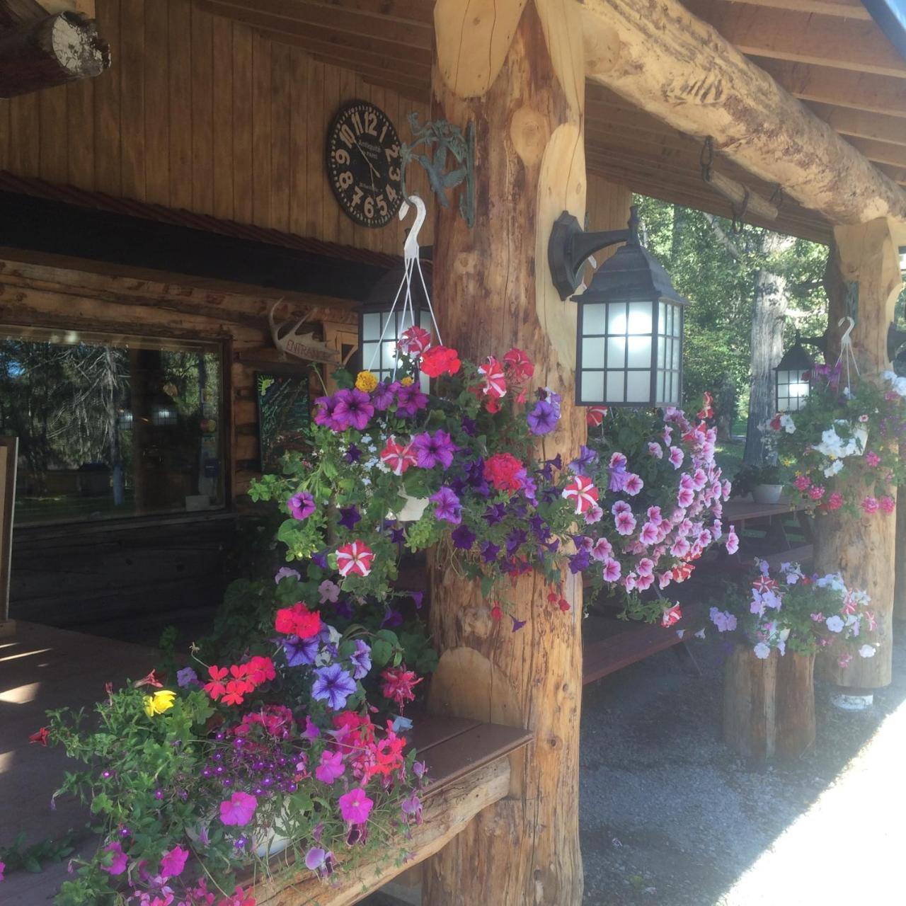Tetsa River Lodge Dış mekan fotoğraf